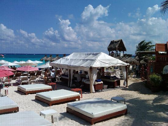 Kool Beach Club - Plage privée Playa Del Carmen ( Playa Del Carmen)